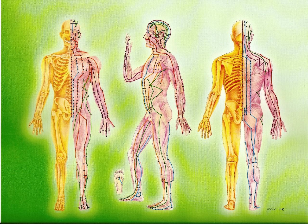Каналы человека. Энергетические меридианы человека китайская медицина. Китайская медицина энергетические каналы. 12 Меридианов человека по китайской медицине. 12 Энергетических меридианов человека.